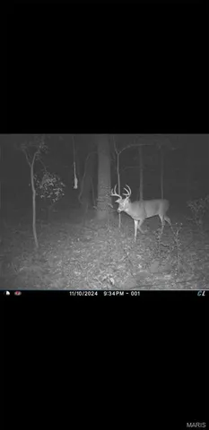 $90,000 | 8206 Eakin Grove Road, Benton, IL 62812