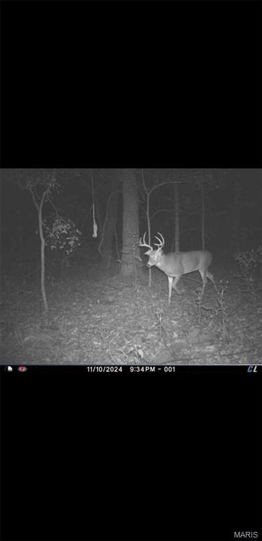 8206 Eakin Grove Road Benton, IL 62812 - Photo 13 of 54