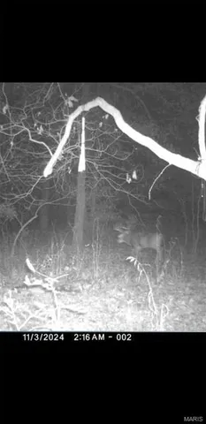 $90,000 | 8206 Eakin Grove Road, Benton, IL 62812