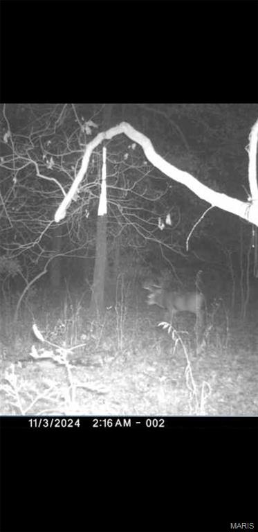 8206 Eakin Grove Road Benton, IL 62812 - Photo 14 of 54