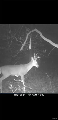 $90,000 | 8206 Eakin Grove Road, Benton, IL 62812