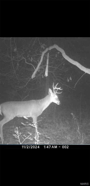 8206 Eakin Grove Road Benton, IL 62812 - Photo 15 of 54