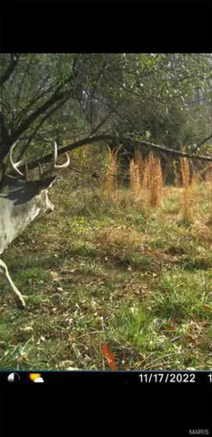 $90,000 | 8206 Eakin Grove Road, Benton, IL 62812