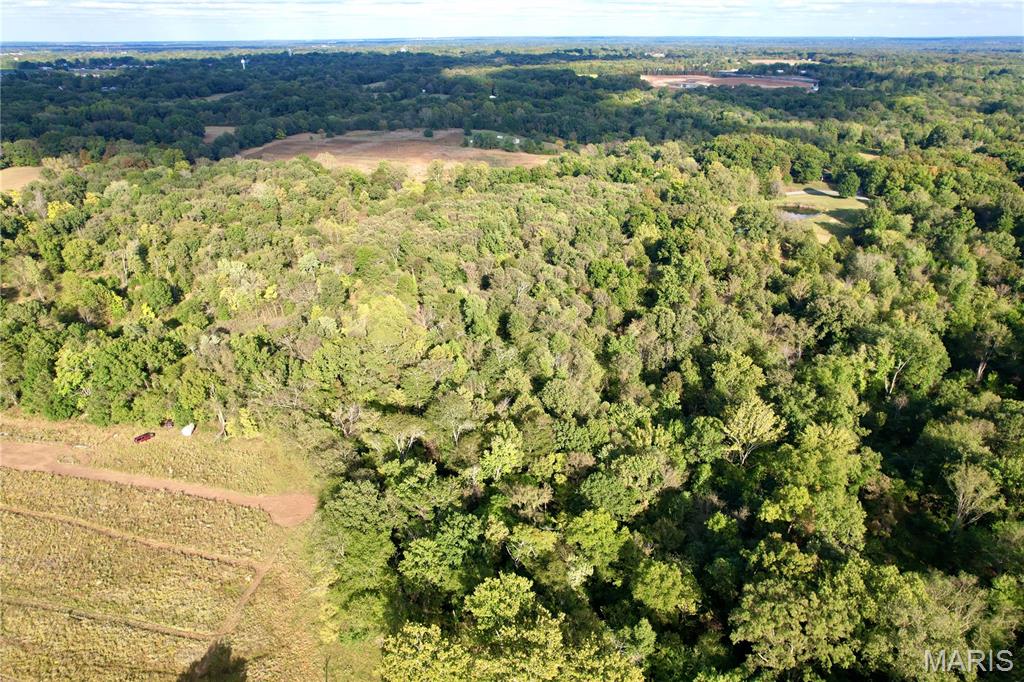 8206 Eakin Grove Road Benton, IL 62812 - Photo 18 of 54