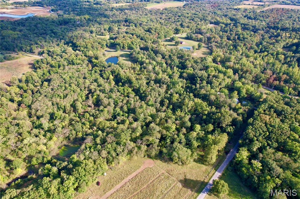 8206 Eakin Grove Road Benton, IL 62812 - Photo 22 of 54