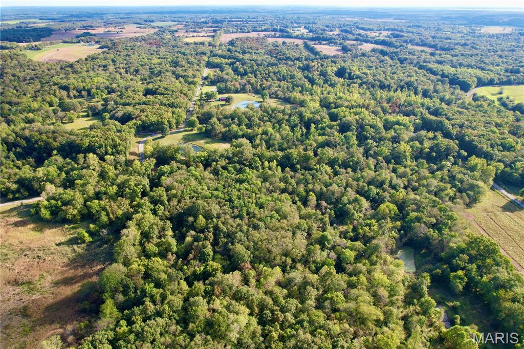 8206 Eakin Grove Road Benton, IL 62812 - Photo 26 of 54