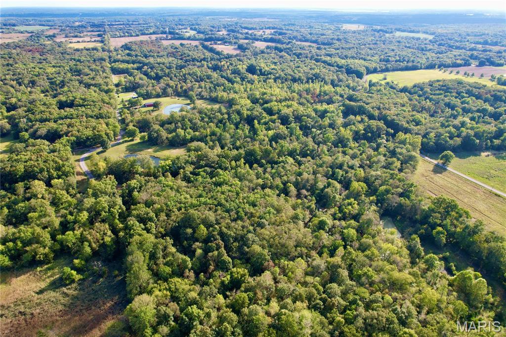 8206 Eakin Grove Road Benton, IL 62812 - Photo 26 of 54