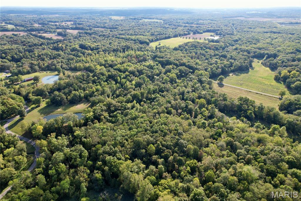 8206 Eakin Grove Road Benton, IL 62812 - Photo 27 of 54