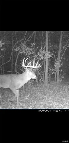 $90,000 | 8206 Eakin Grove Road, Benton, IL 62812