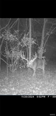 $90,000 | 8206 Eakin Grove Road, Benton, IL 62812