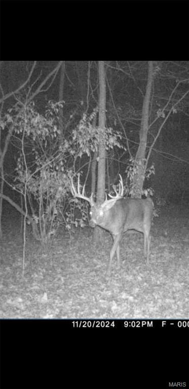 8206 Eakin Grove Road Benton, IL 62812 - Photo 3 of 54