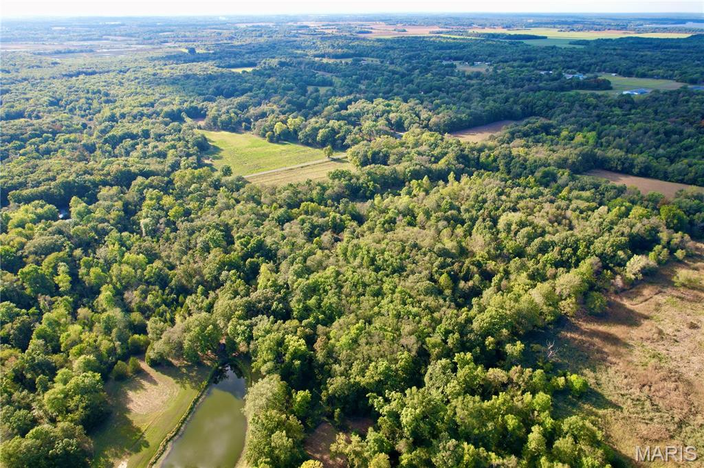 8206 Eakin Grove Road Benton, IL 62812 - Photo 31 of 54