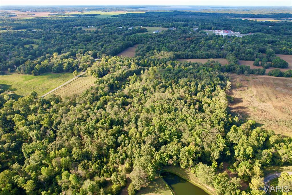 8206 Eakin Grove Road Benton, IL 62812 - Photo 34 of 54