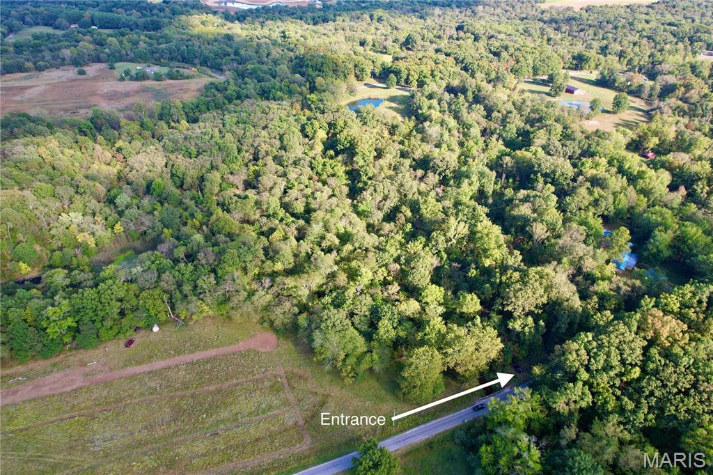 8206 Eakin Grove Road Benton, IL 62812 - Photo 37 of 54