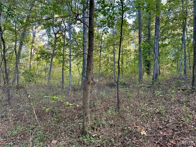 $90,000 | 8206 Eakin Grove Road, Benton, IL 62812