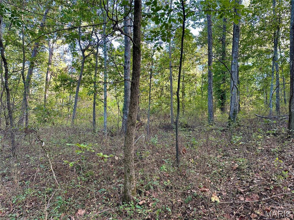 8206 Eakin Grove Road Benton, IL 62812 - Photo 39 of 54