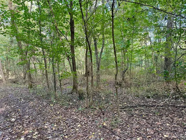 $90,000 | 8206 Eakin Grove Road, Benton, IL 62812