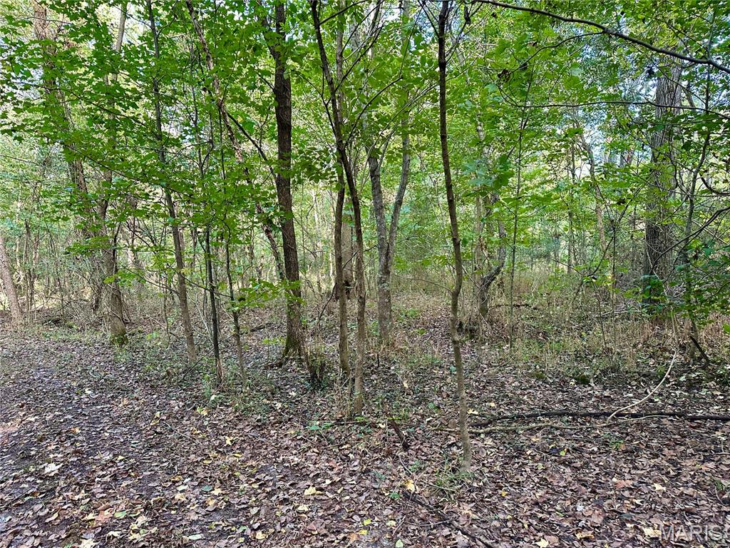 8206 Eakin Grove Road Benton, IL 62812 - Photo 40 of 54