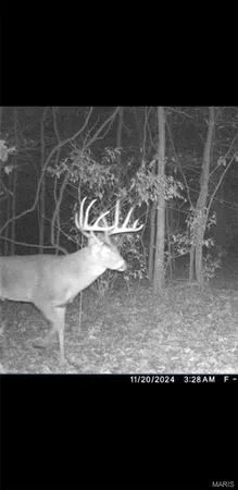 $90,000 | 8206 Eakin Grove Road, Benton, IL 62812