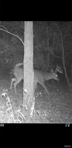 $90,000 | 8206 Eakin Grove Road, Benton, IL 62812