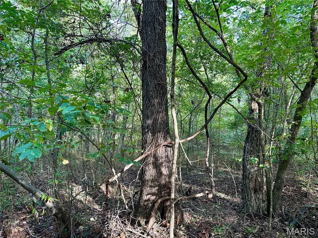 $90,000 | 8206 Eakin Grove Road, Benton, IL 62812