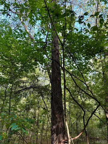 $90,000 | 8206 Eakin Grove Road, Benton, IL 62812