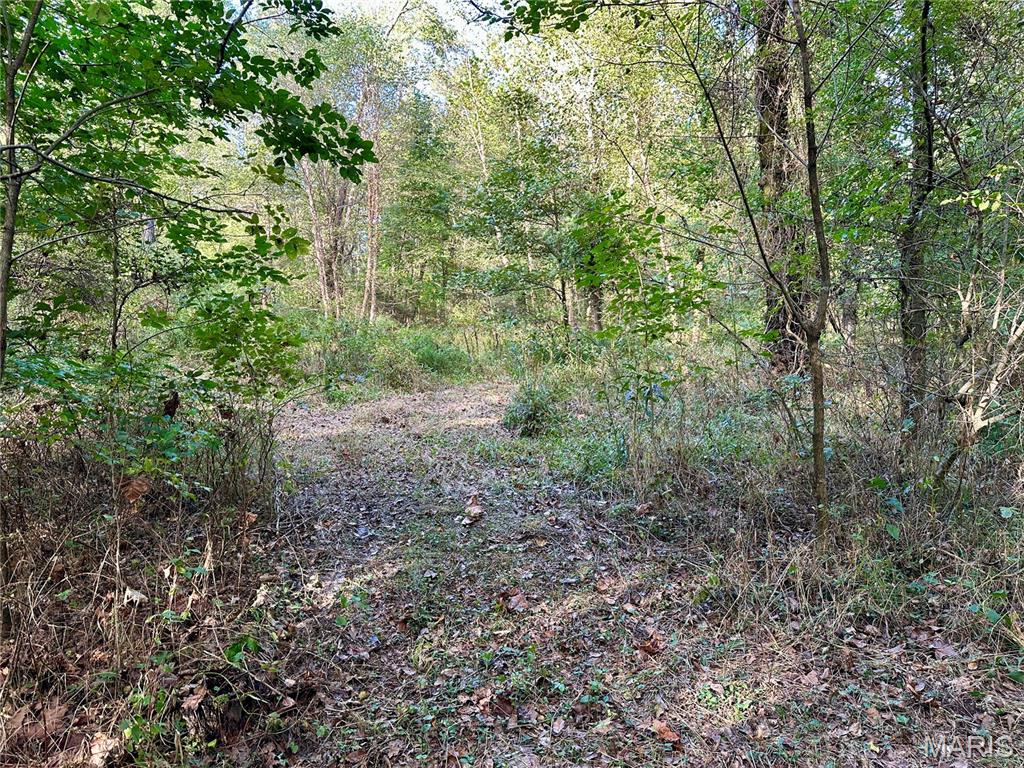 8206 Eakin Grove Road Benton, IL 62812 - Photo 43 of 54