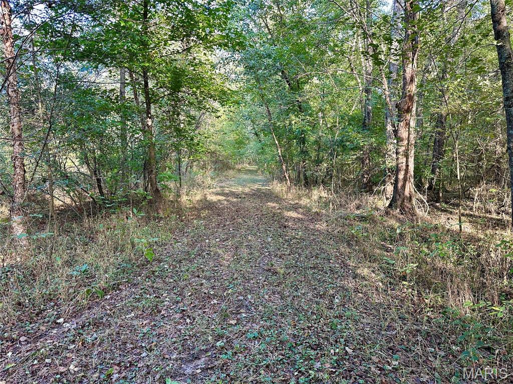 8206 Eakin Grove Road Benton, IL 62812 - Photo 44 of 54