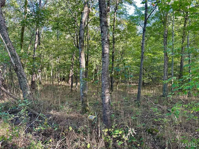 $90,000 | 8206 Eakin Grove Road, Benton, IL 62812