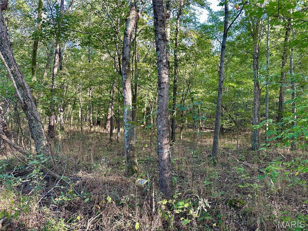 8206 Eakin Grove Road Benton, IL 62812 - Photo 45 of 54