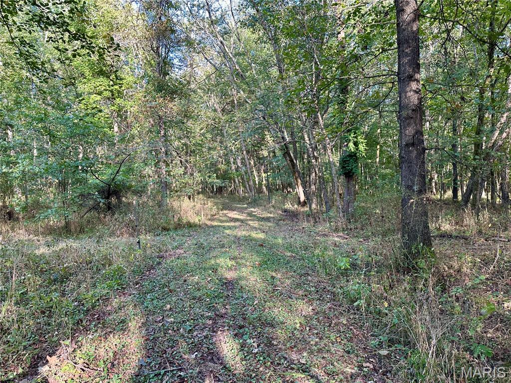 8206 Eakin Grove Road Benton, IL 62812 - Photo 46 of 54