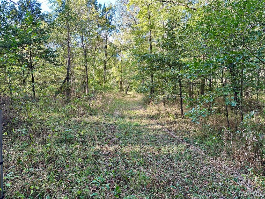 8206 Eakin Grove Road Benton, IL 62812 - Photo 48 of 54