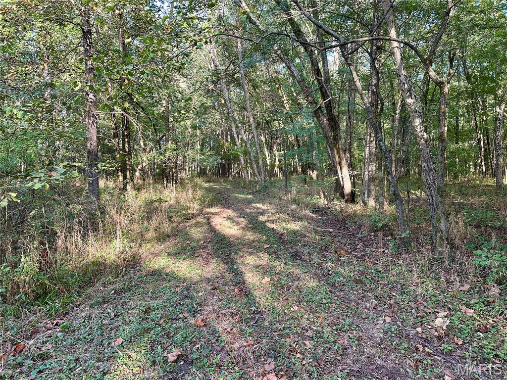 8206 Eakin Grove Road Benton, IL 62812 - Photo 49 of 54