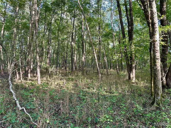 $90,000 | 8206 Eakin Grove Road, Benton, IL 62812