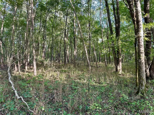 $90,000 | 8206 Eakin Grove Road, Benton, IL 62812