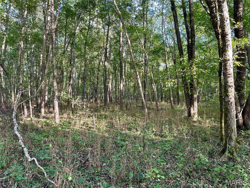 8206 Eakin Grove Road Benton, IL 62812 - Photo 50 of 54