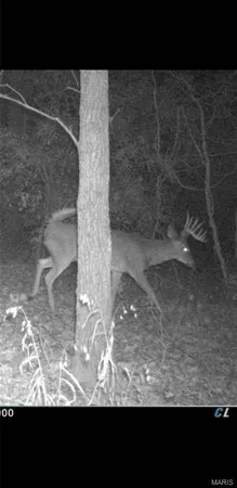 $90,000 | 8206 Eakin Grove Road, Benton, IL 62812