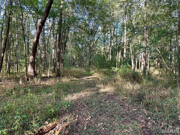 $90,000 | 8206 Eakin Grove Road, Benton, IL 62812