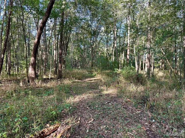 $90,000 | 8206 Eakin Grove Road, Benton, IL 62812