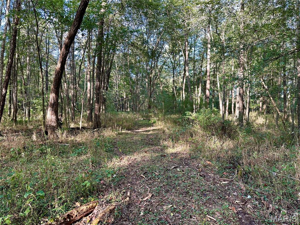 8206 Eakin Grove Road Benton, IL 62812 - Photo 51 of 54