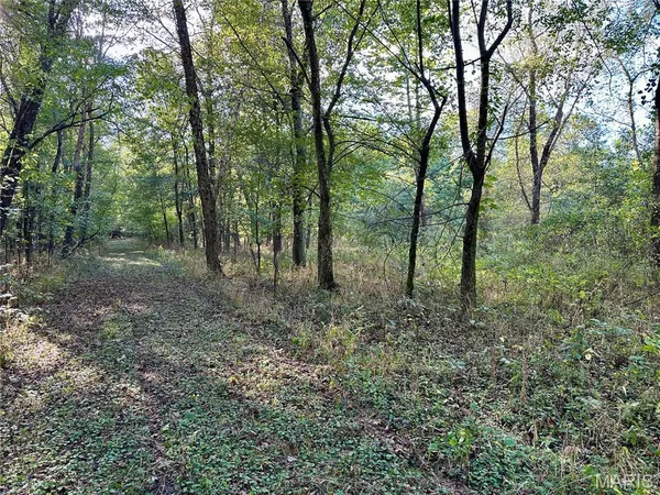 $90,000 | 8206 Eakin Grove Road, Benton, IL 62812