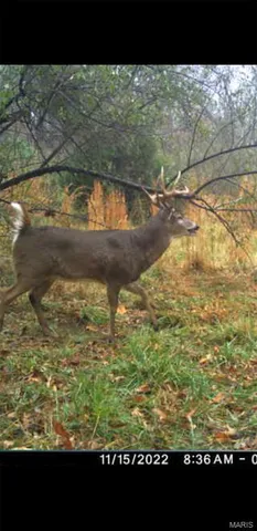 $90,000 | 8206 Eakin Grove Road, Benton, IL 62812