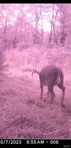 $90,000 | 8206 Eakin Grove Road, Benton, IL 62812