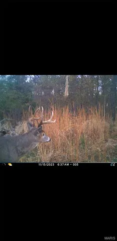 $90,000 | 8206 Eakin Grove Road, Benton, IL 62812