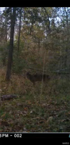 $90,000 | 8206 Eakin Grove Road, Benton, IL 62812