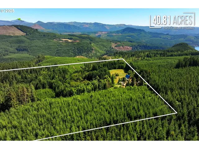 $699,000 | 45265 Sunnyside Road, Foster, OR 97345