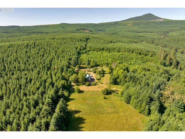 $699,000 | 45265 Sunnyside Road, Foster, OR 97345