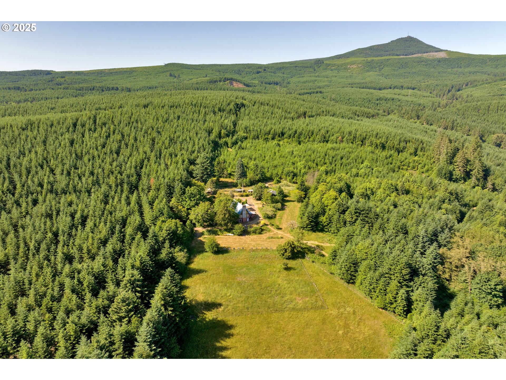 45265 Sunnyside Road Foster, OR 97345 - Photo 46 of 47