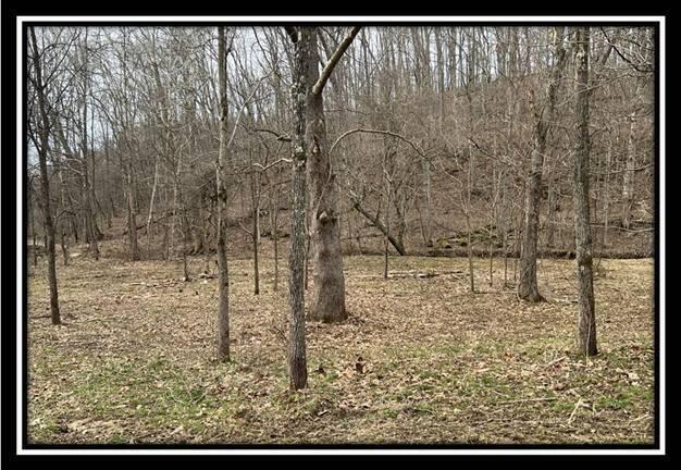 35471 Buck Run Road Langsville, OH 45741 - Photo 29 of 32