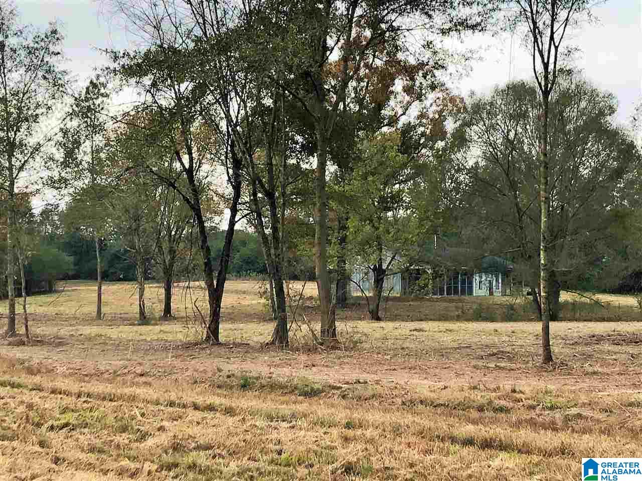 1430 Mineral Springs Road, Unit 1 Pell City, AL 35125 - Photo 5 of 27